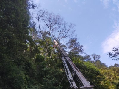 定期轄區步道及林道巡檢工作